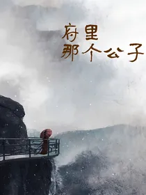 府里那个公子