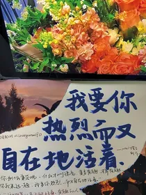 热爱的小众文案馆