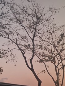 指哪打哪