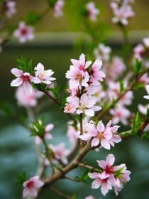 新还珠格格之璄花水月