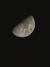 星际：狼语者