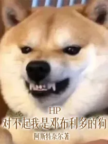 HP：对不起我是邓布利多的狗-d004