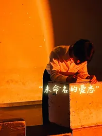 未命名的爱恋