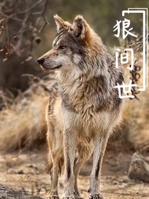 狼间世