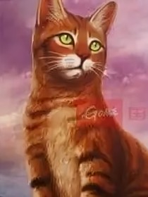 猫武士之星际大穿越
