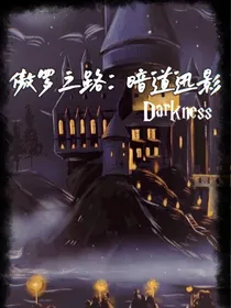 傲罗之路：暗道迅影