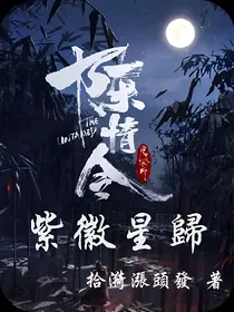 陈情令：紫徽星归