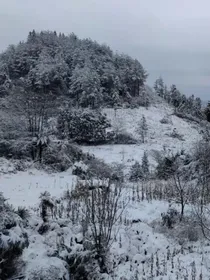 素材营