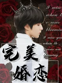 完美婚恋