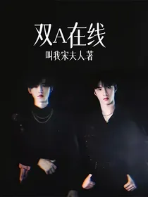 双A在线