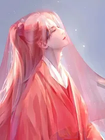 沈公子他宁折不弯