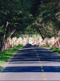 你好龟毛呀