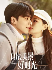 良辰美景：奈何情深