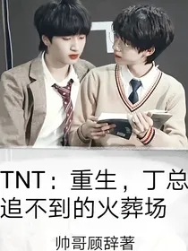 TNT：重生之丁总追不到的火葬场