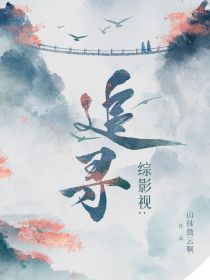 综影视：追寻