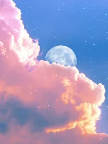 少女情怀写成诗