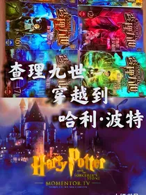 查理九世穿越到哈利波特