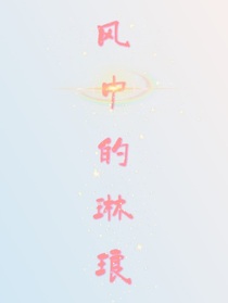 风中的琳琅