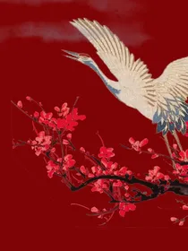 张云雷：光来的方向