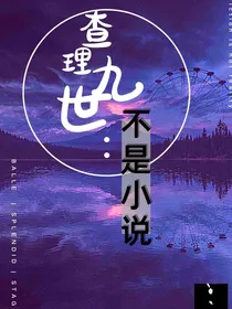 查理九世：不是小说