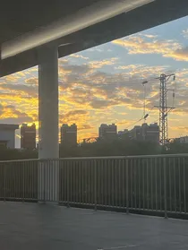 爆红之后我只想家里蹲