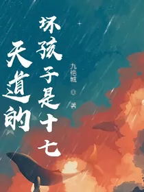 天道的坏孩子是十七