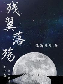 残翼落殇：第一卷——凝羽晓希