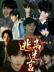 TNTandTF三代：逃离迷宫