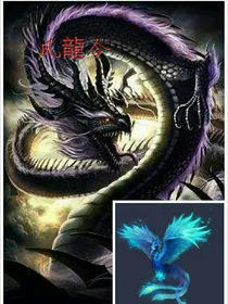 凤龍令