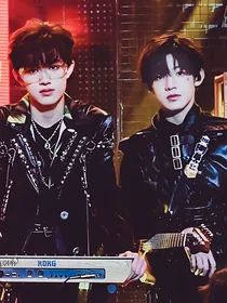 TF家族：枯木逢春