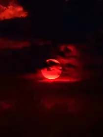 未知：不死