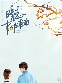综影视：剧中人，旁观者！
