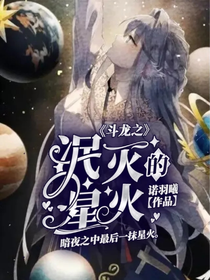 斗龙：泯灭的星火