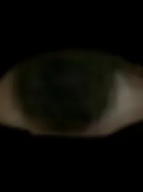 凹凸乙女：蝕