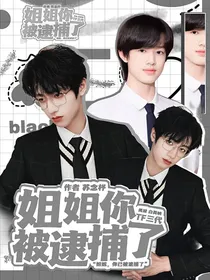 TF三代：姐姐你被逮捕了
