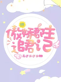 傲娇郡主追君记
