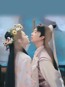 赘婿：双境结连理