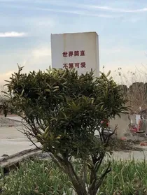 某诗