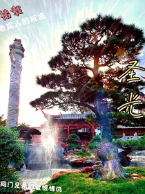 圣光——褚载