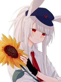 那兔：校园里的那些事