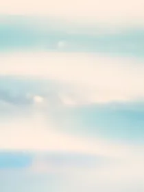 重生之男色风华