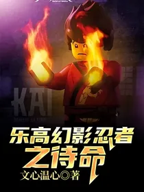 乐高幻影忍者之待命