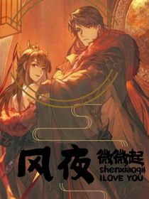 风夜微微起