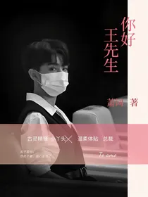 你好：王先生
