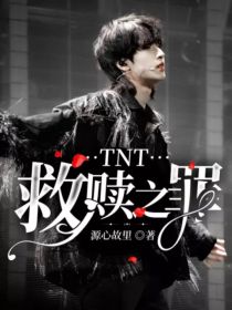 TNT：救赎之罪