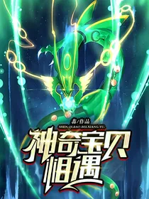 神奇宝贝：相遇