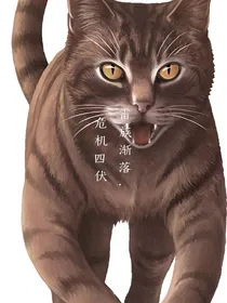 猫武士15部曲六危机四伏