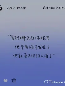 风不曾吹过