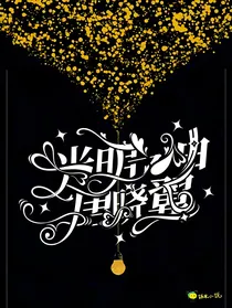 查理九世之光明之神唐晓翼
