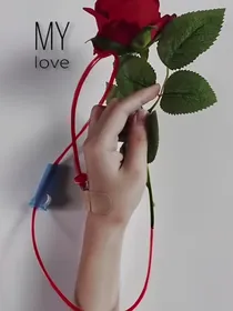 回眸见却玫瑰开